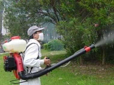 實力保障，簽約治理，跟蹤服務